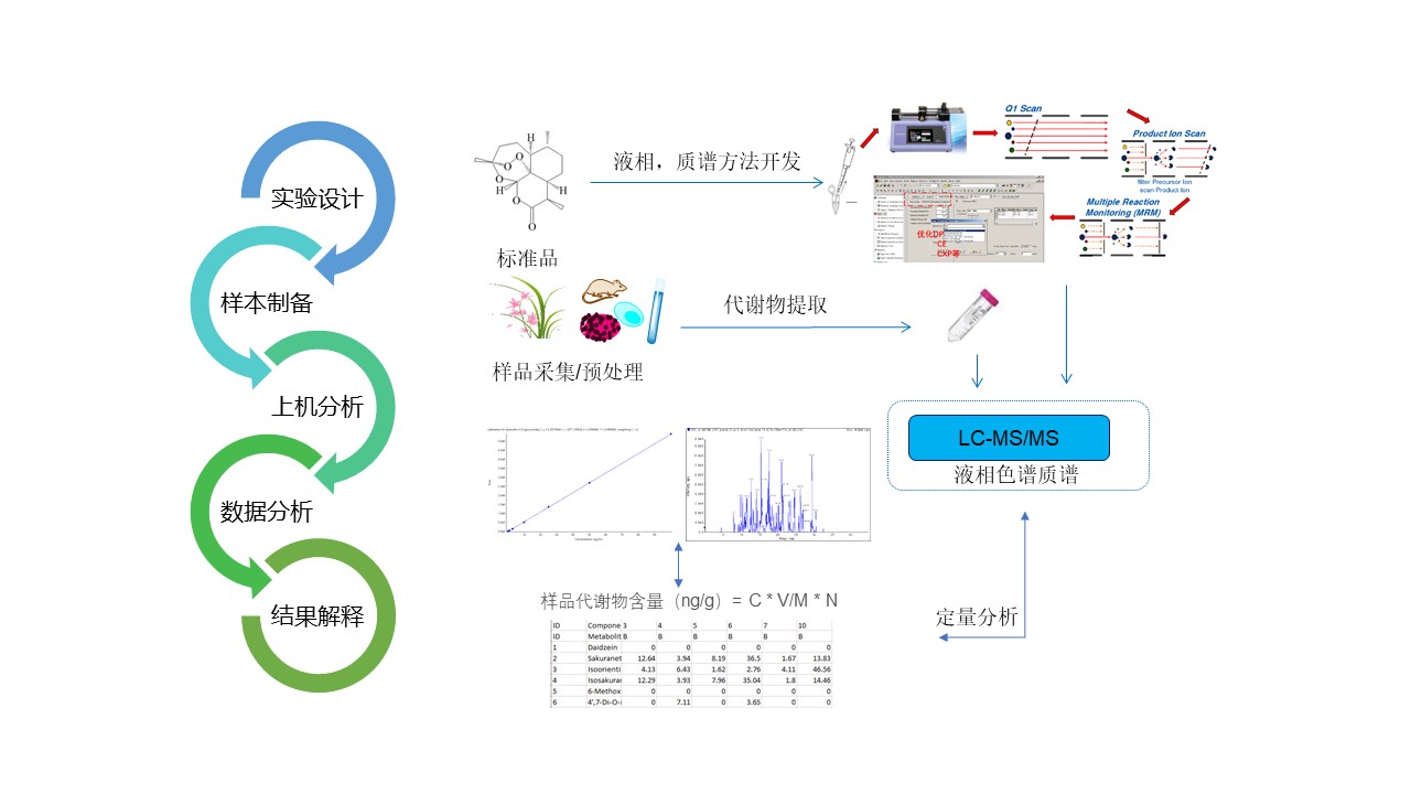 靶向代谢组学
